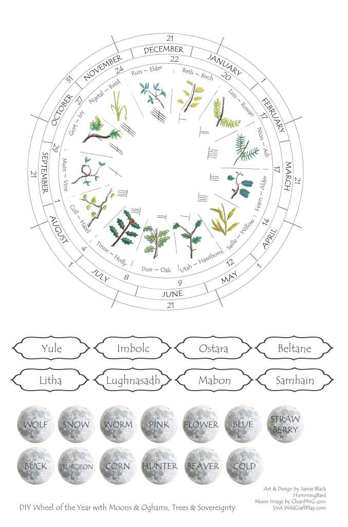 Wheel of the Year with Celtic Tree Astrology, Ogham and Moons - made by Jamie Black