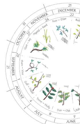 Wheel of the Year with Celtic Tree Astrology, Ogham and Moons - made by Jamie Black