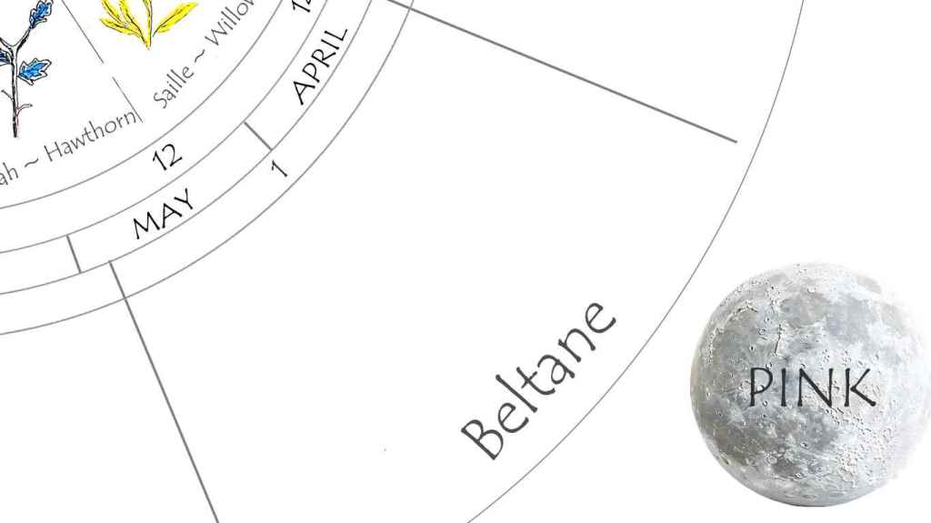 Wheel of the Year with Celtic Tree Astrology, Ogham and Moons - made by Jamie Black